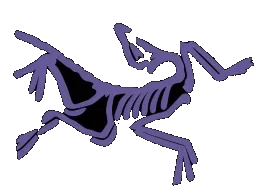 Arcteryx
